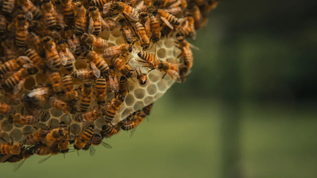 أهمية الربط مع الـ APIs الخارجية لتطوير وظائف موقعك