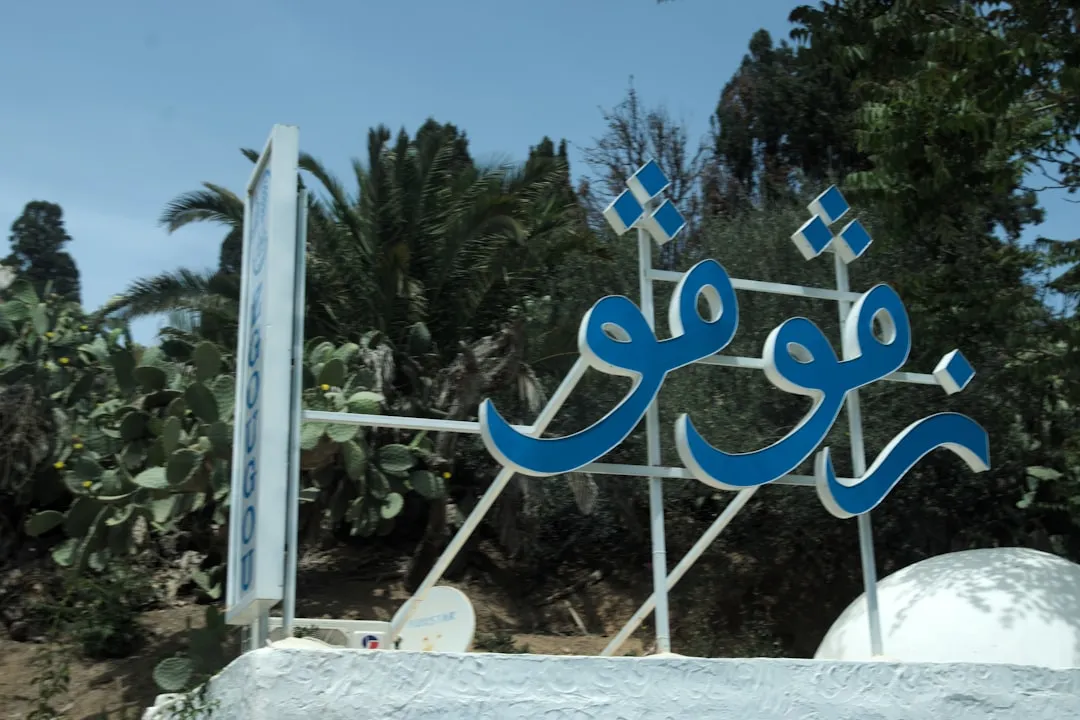 أسرار النجاح مع رقم تسويق الكتروني في الخبر